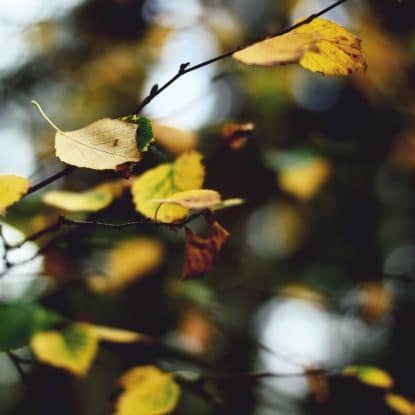 kto-moze-zlozyc-wniosek-o-ubezwlasnowolnienie-i-w-jakich-sytuacjach-01